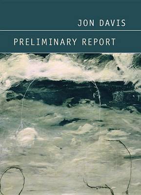 Book cover for Preliminary Report