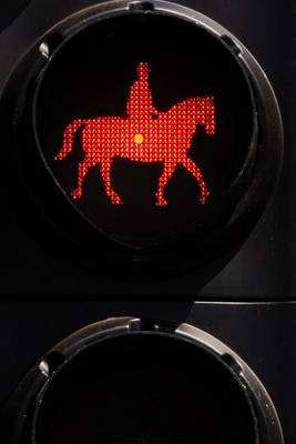 Book cover for Horse Traffic Light (200 Page Lined Journal)