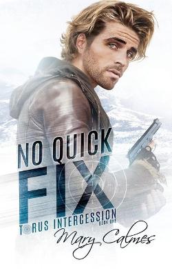 Cover of No Quick Fix