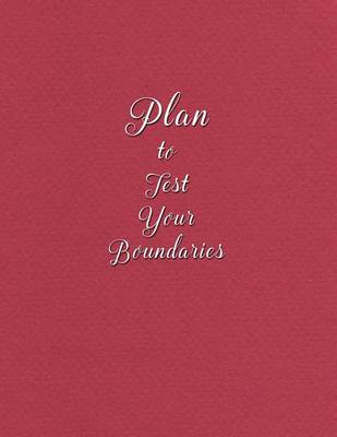 Book cover for Plan To Test Your Boundaries