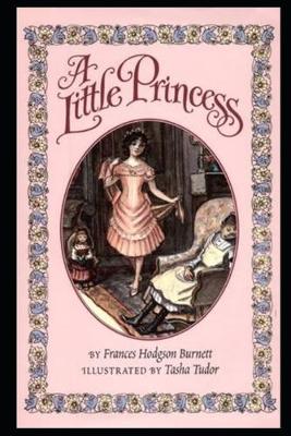 Book cover for A Little Princess by Frances Hodgson Burnett Annotated Latest Version