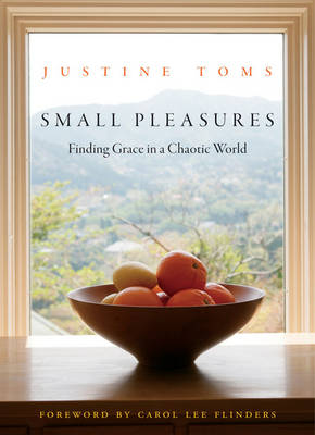 Book cover for Small Pleasures