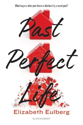 Book cover for Past Perfect Life