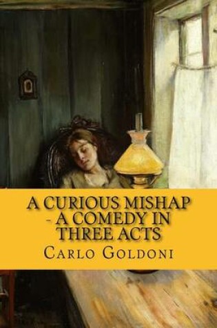 Cover of A Curious Mishap - A Comedy in Three Acts