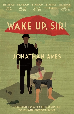 Book cover for Wake Up, Sir!