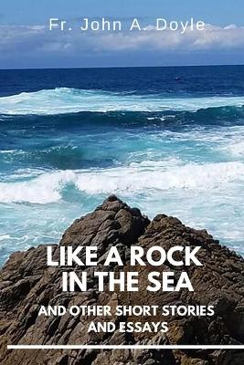 Book cover for Like a Rock in the Sea