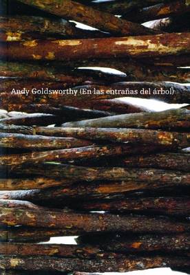 Book cover for Andy Goldsworthy