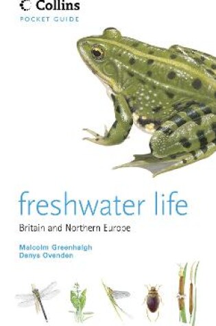 Cover of Freshwater Life