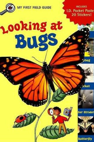 Cover of Looking at Bugs