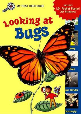 Book cover for Looking at Bugs