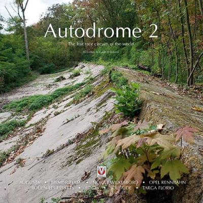 Book cover for Autodrome