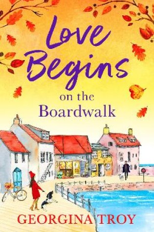 Cover of Love Begins on the Boardwalk
