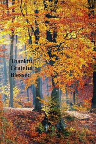 Cover of Thankful Grateful Blessed