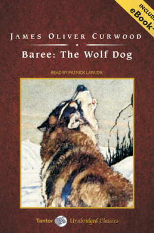 Cover of Baree: The Wolf Dog