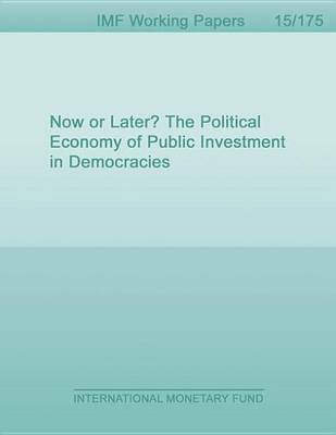 Book cover for Now or Later? the Political Economy of Public Investment in Democracies