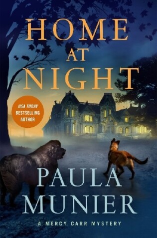 Cover of Home at Night