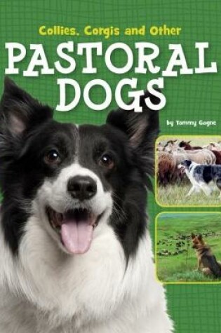 Cover of Collies, Corgis and Other Pastoral Dogs