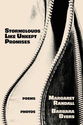 Book cover for Stormclouds Like Unkept Promises
