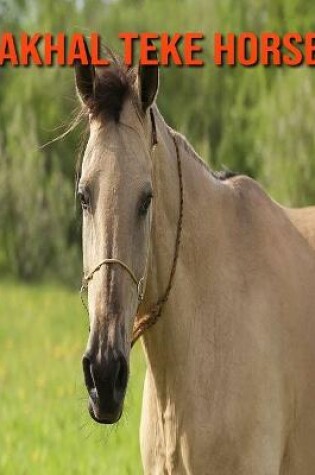 Cover of Akhal Teke Horse