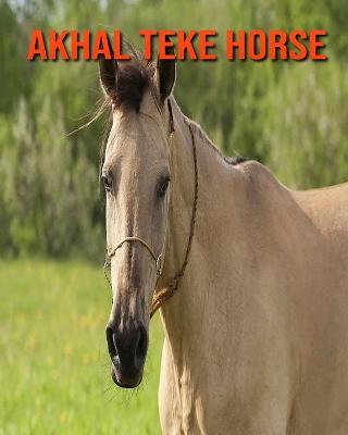 Book cover for Akhal Teke Horse