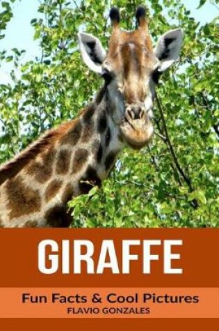 Cover of Giraffe