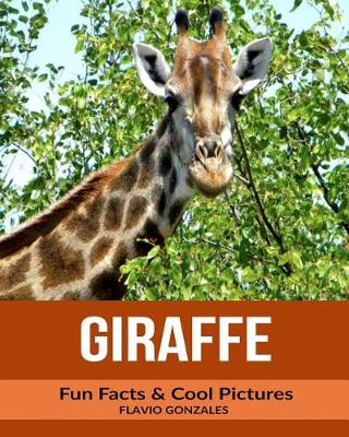 Book cover for Giraffe