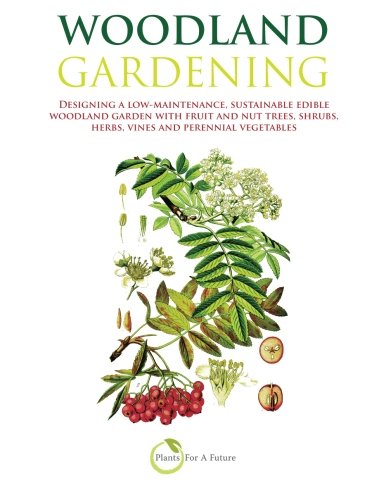 Book cover for Woodland Gardening