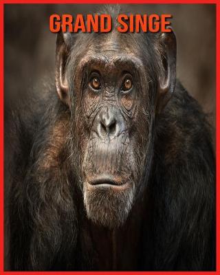 Book cover for Grand Singe