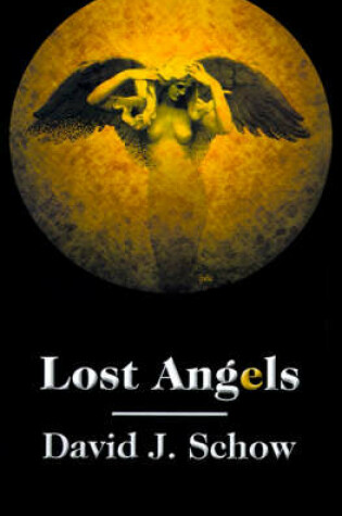 Cover of Lost Angels