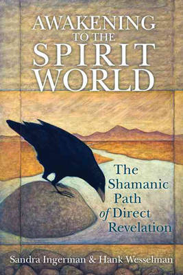 Book cover for Awakening to the Spirit World