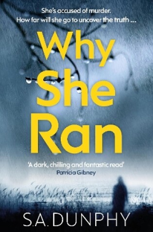 Cover of Why She Ran