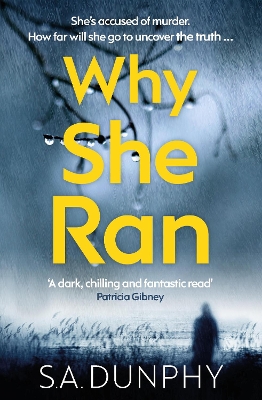 Cover of Why She Ran