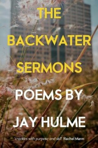 Cover of The Backwater Sermons