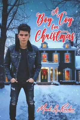 Book cover for A Boy Toy for Christmas