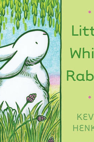 Cover of Little White Rabbit