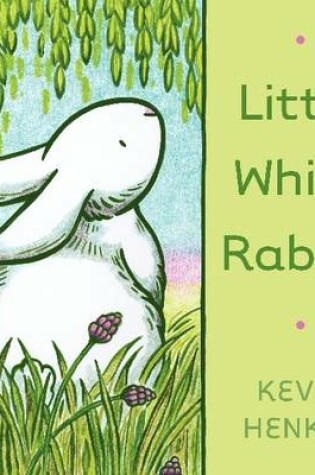 Little White Rabbit Board Book