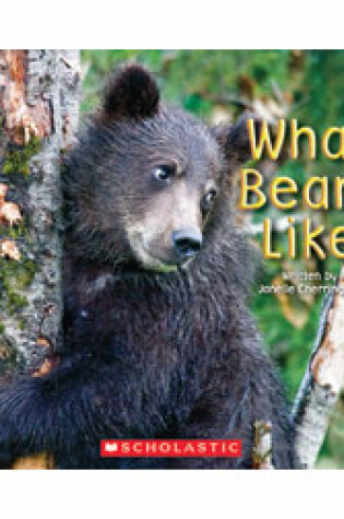 Cover of What Bears Like