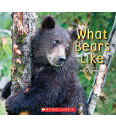 Book cover for What Bears Like