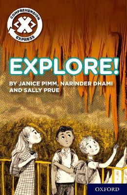 Book cover for Project X Comprehension Express: Stage 1: Explore!