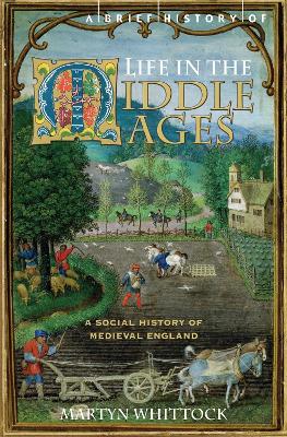 Book cover for A Brief History of Life in the Middle Ages
