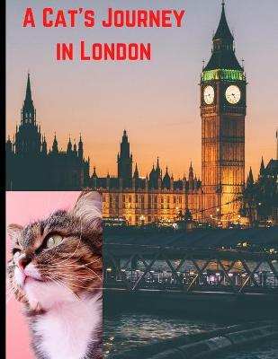 Book cover for A Cats Journey in London