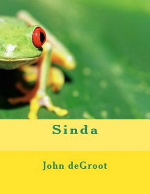 Book cover for Sinda