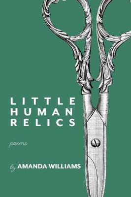 Book cover for Little Human Relics