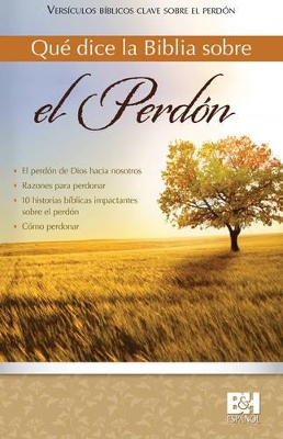 Book cover for Qué dice la Biblia sobre el perdón