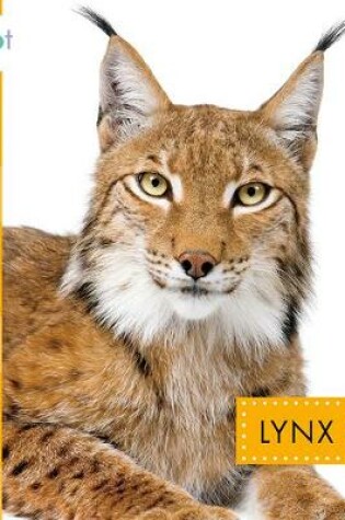 Cover of Lynx