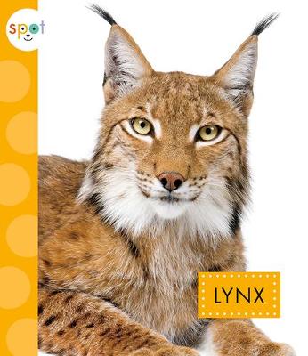 Book cover for Lynx