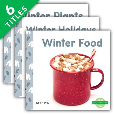 Book cover for Seasons: Winter Wonder! (Set)