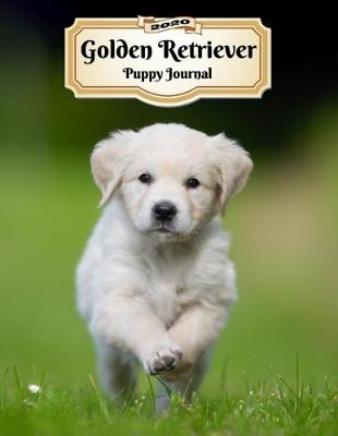 Book cover for 2020 Golden Retriever Puppy Journal