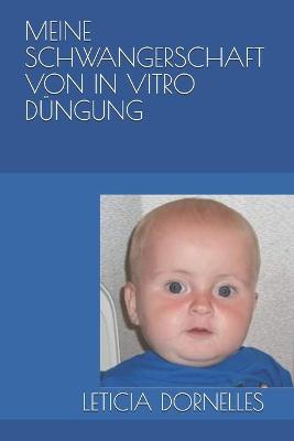 Book cover for Meine Schwangerschaft Von in Vitro Dungung