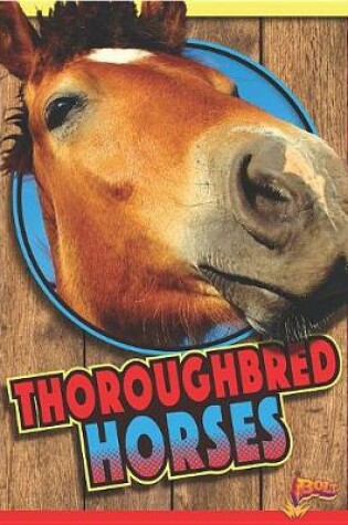 Cover of Thoroughbred Horses